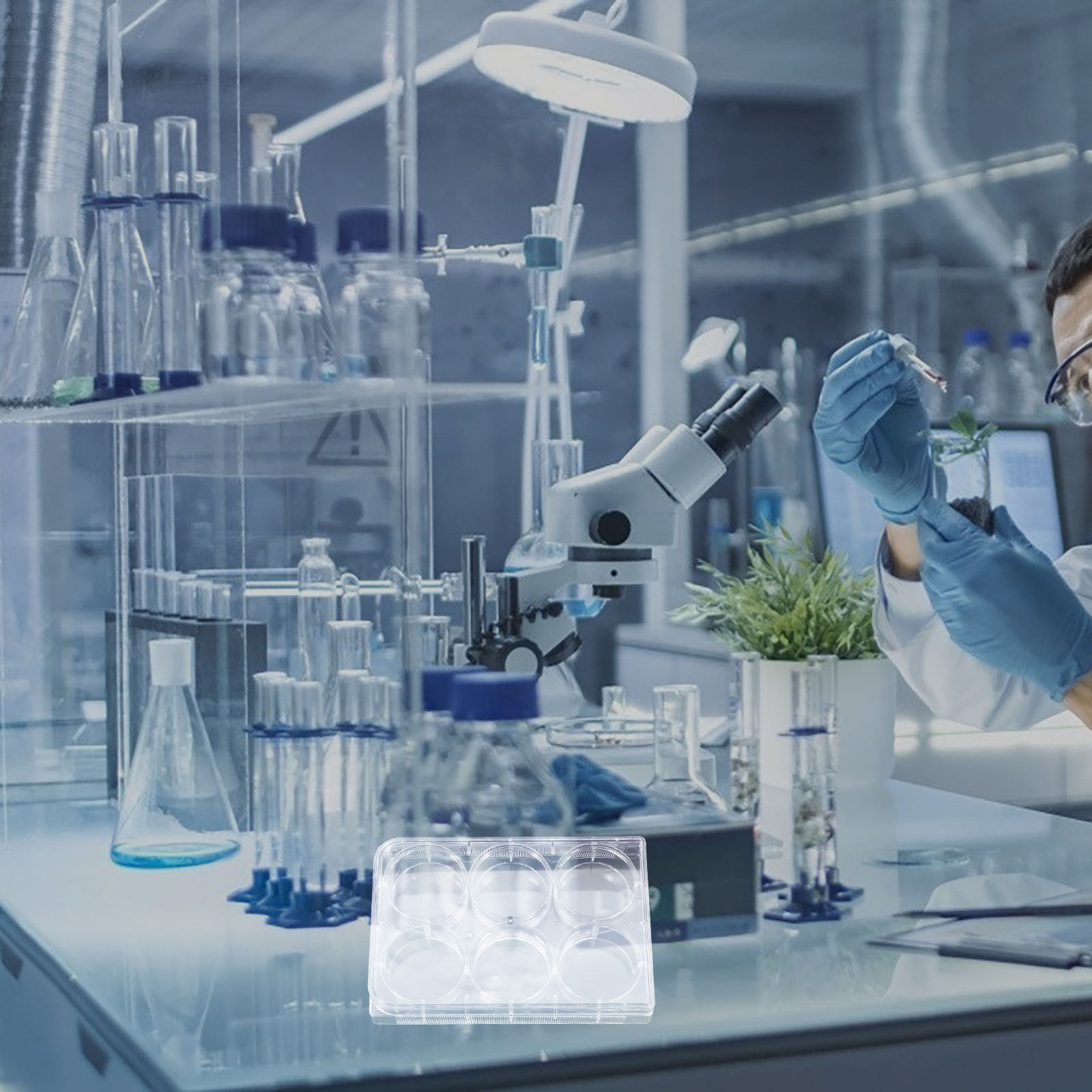 Lab Equipment - Weefselkweekplaat met 6 putjes, stevige apparatuur,