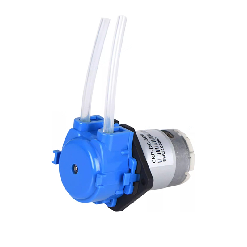 12V peristaltische doseerpomp, - Mini Peristaltic Pump 12V recensie en prijs