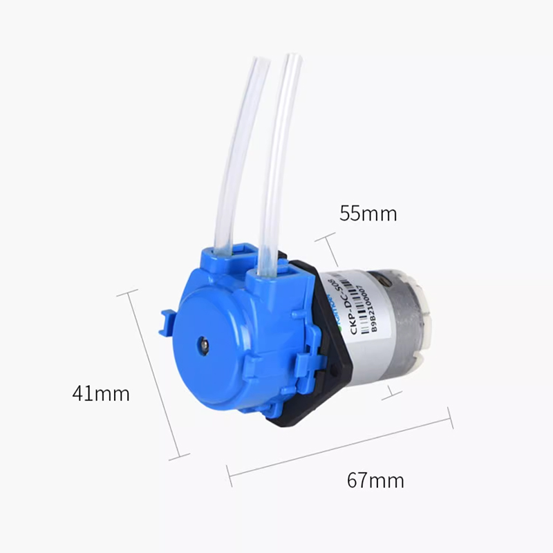 12V peristaltische doseerpomp, - Mini Peristaltic Pump 12V recensie en prijs