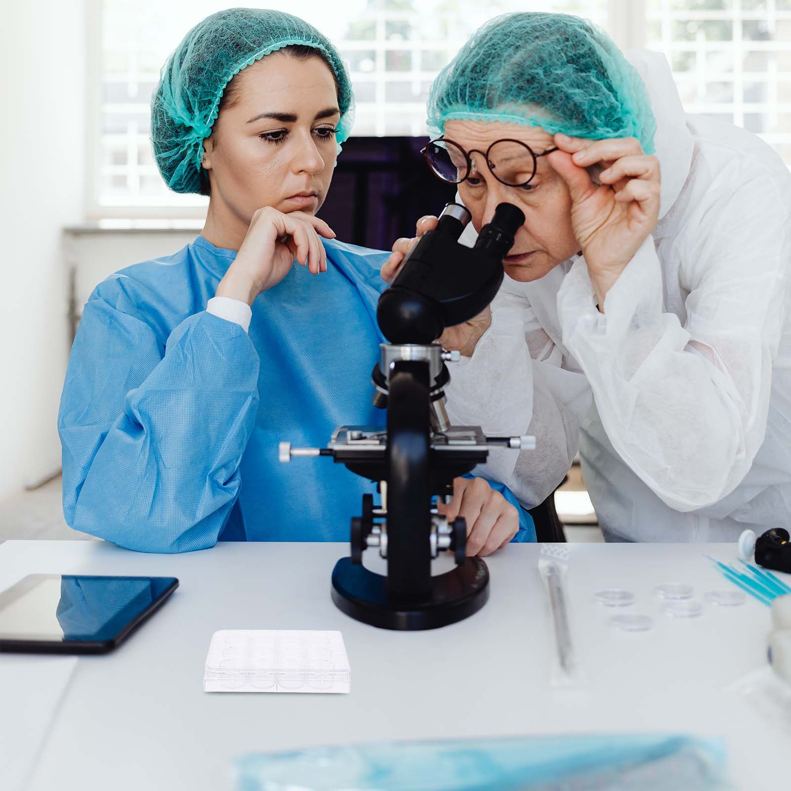 12-gaats celkweekplaat, weefse - Lab Equipment recensie en prijs